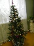 Ёлочка-красавица в библиотеке.