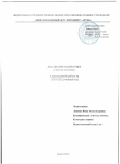 Аналитический отчет 2024-2025