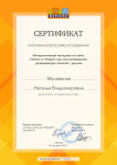 Сертификат участника всероссийского вебинара