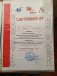 Сертификат  участнику авторского семинара : 