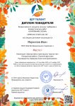 Диплом победителя Всероссийского творческого конкурса