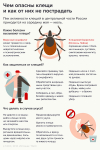 Чем опасны клещи и как от них не пострадать.