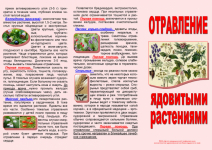 Буклет