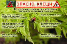 Осторожно – клещи!