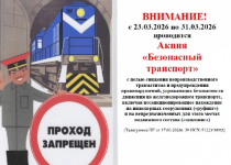 Акция «Безопасный транспорт»
