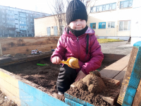 Моя черепашка