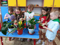 Ухаживаем за комнатными растениями в "Уголке Природы"