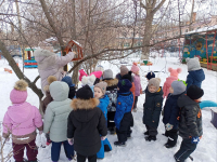 Кормим птиц зимой