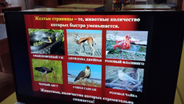 12 января в России отмечается День красной книги.