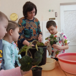 Наблюдение за цветами и пересадка март 2026 г.