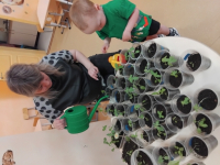 Огород на окне