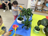 Социально-коммуникативное развитие(труд)