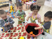 «Наш веселый огород» Посадка лука,укропа,цветов