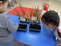 Трудовые поручения «Наш веселый Огород»