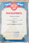 Благодарность от МБДОУ Детский сад №29