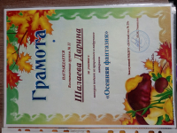 Дипломы Шалаевой Дарины