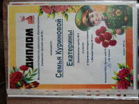 Дипломы Куриновой Кати