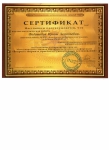 Сертификат участника международной конференции