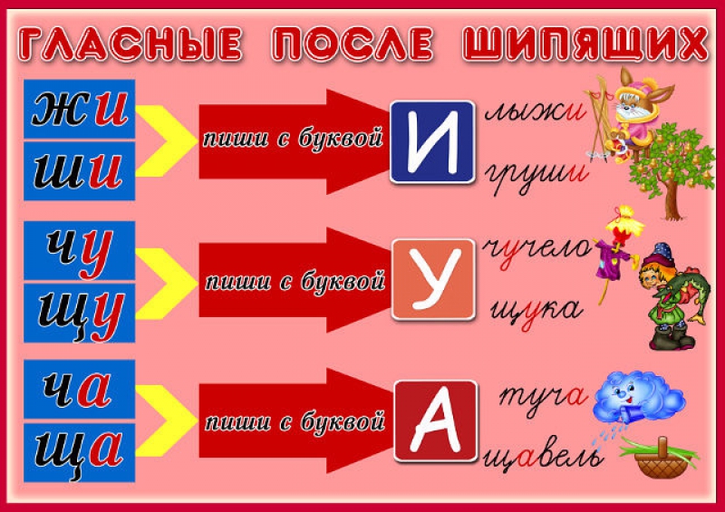 Гласные шипящие. Гласныепосоле шипящих. Гласнеые послешипящих. Наглядность для начальной школы. Гласные после шипящих.