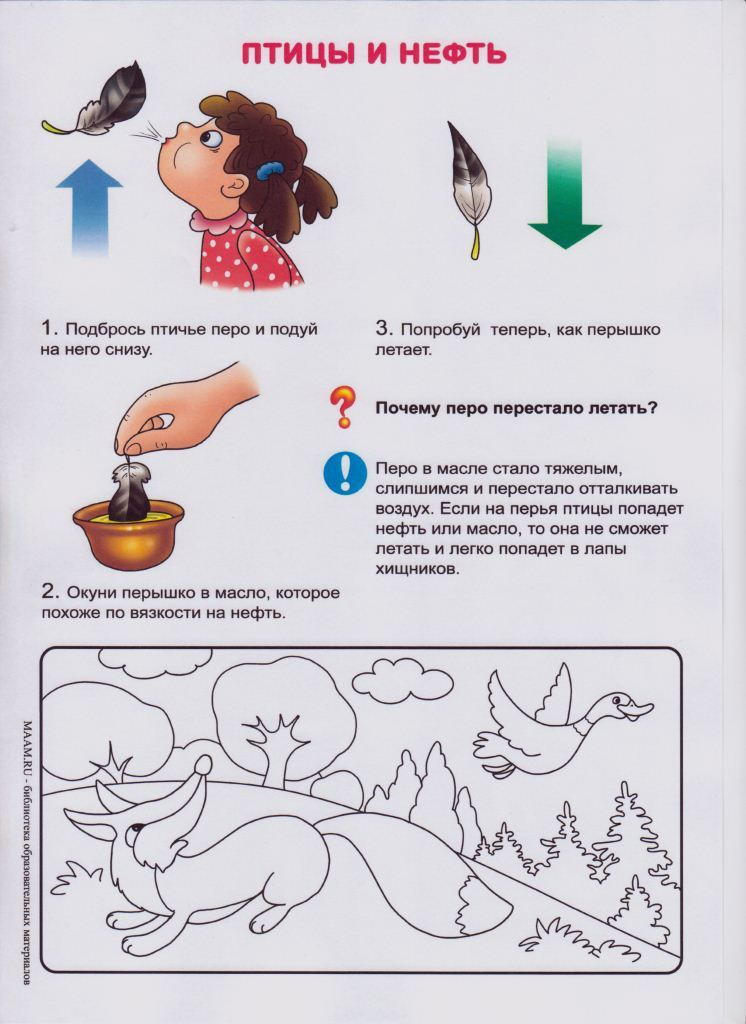 Опыты с перышками. Опыты с пером для дошкольников. Опыт с пером птицы и водой в детском саду. Опыты с перьями птиц в подготовительной группе. Опыты для детей с пером птицы.