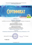педагогические инициативы сертификат участника 2017 г.