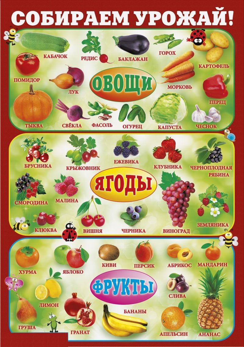 Список фруктов. Обучающие плакаты для детского сада. Обучающие плакаты для малышей. Плакат овощи и фрукты. Плакат овощи для детского сада.