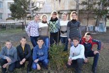одна из наших ёлочек