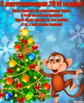 С Новым 2016 Годом !