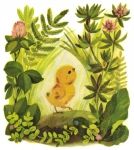К. Чуковский Цыпленок