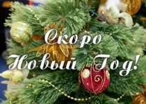 Стихи про Новый год.