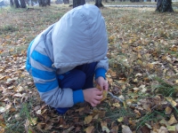 экскурсия в парк