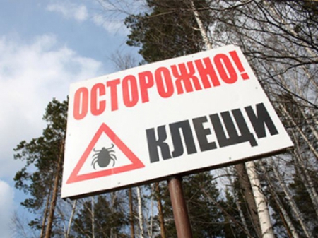 Осторожно клещи!!!