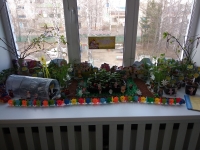 Цветочный город Коротышек