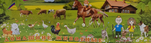 2020 г. Сертификаты за участие в международном игровом конкурсе