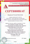 Участник семинара по теме "О создании условий для детей с ОВЗ в общеобразовательной школе"