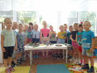 Неделя экологии.
