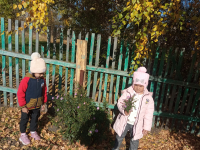 Любуемся красотой осени.